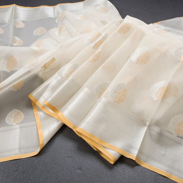 Organza Cream Floral Zari Worked Saree