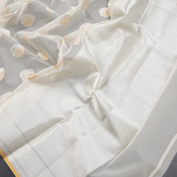 Organza Cream Floral Zari Worked Saree