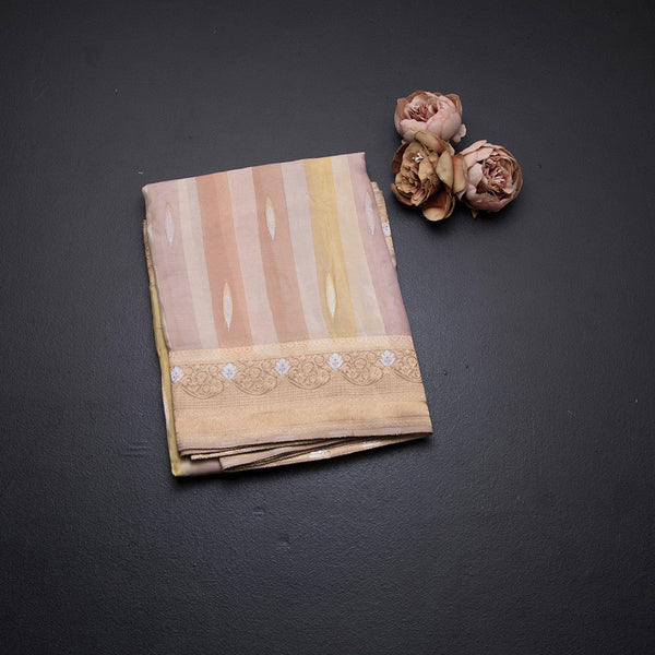 Tissue Banaras Multi Colour Zari Worked Saree 02