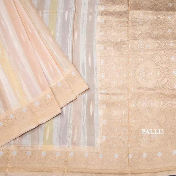 Tissue Banaras Multi Colour Zari Worked Saree 02