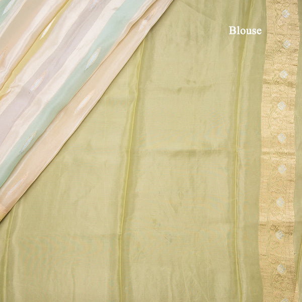 Tissue Banaras Multi Colour Zari Worked Saree 03