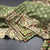 Raw Silk Pickle Green Zari Worked Saree With Printed Work