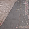 Organza Light Brown Thread Work Saree With Paisley Border
