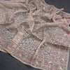 Organza Light Brown Thread Work Saree With Paisley Border
