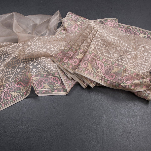 Organza Light Brown Thread Work Saree With Paisley Border