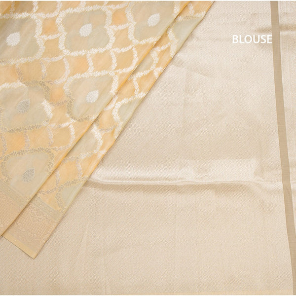 Organza Multi Colour Zari Worked Saree