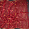 Silk Cotton Red Borderless Thread Work Saree In Floral Creeper Design