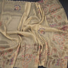 Tissue Gold Zari Thread Work Saree With Mirror Work