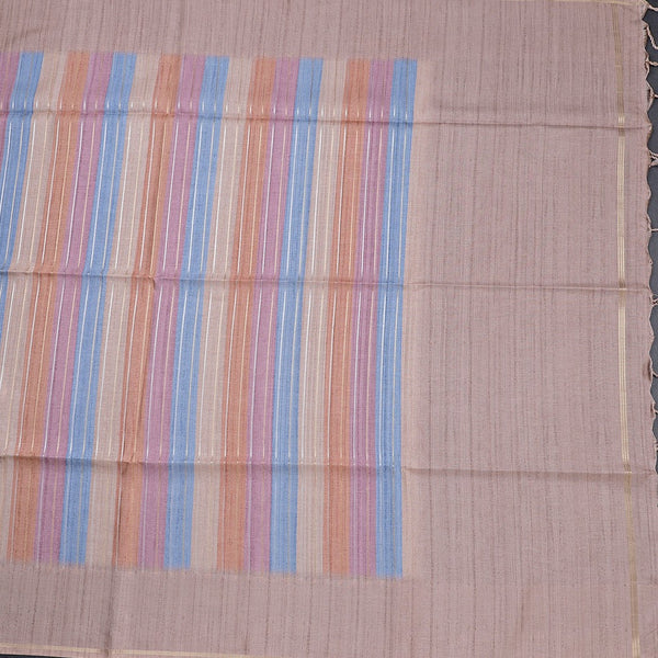 Raw Silk Multi colour Stripes Saree 02