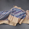 Raw Silk Multi Colour Stripes Printed Saree