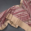 Raw Silk Multi Colour Stripes Printed Saree 03