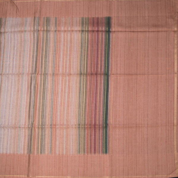 Raw Silk Multi Colour Stripes Saree 05
