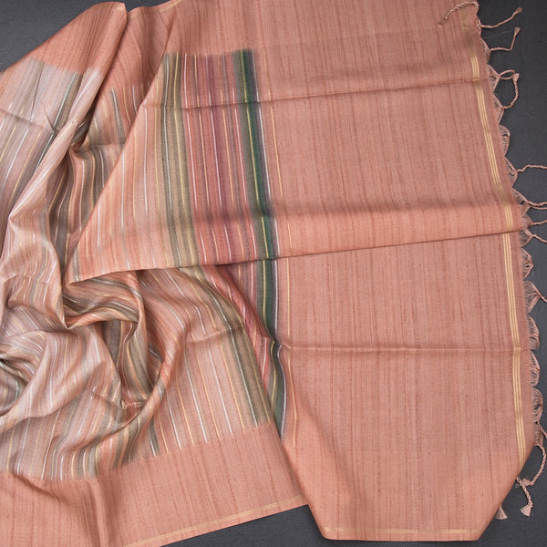 Raw Silk Multi Colour Stripes Saree 05