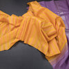 Multi Colour Borderless Soft Silk Saree With Stripes Design On The Body 02
