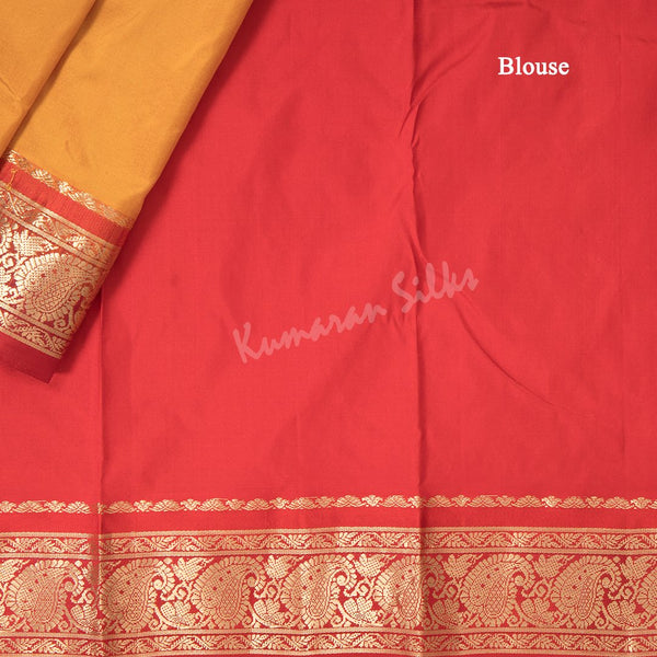 Arangetram Saree 30