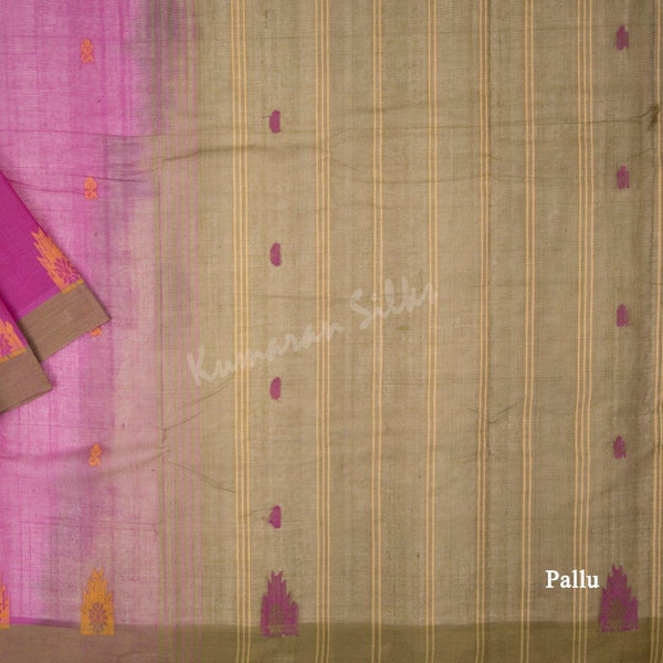 Kanchi Cotton Magenta Pink Saree With Simple border - Kumaran Silks