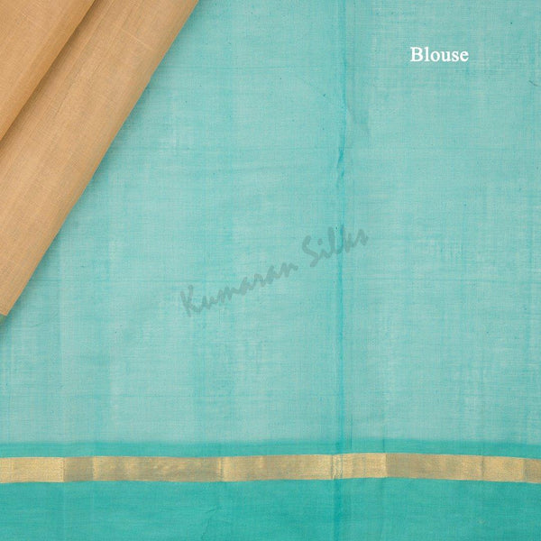 Kanchi Cotton Peanut Brown Saree With Simple border - Kumaran Silks