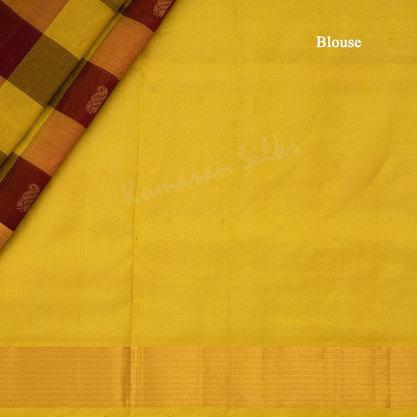 Amirthavarshni Silk Cotton Multi Colour Checked Saree 04