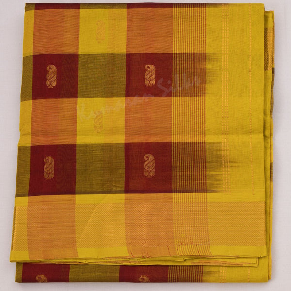 Amirthavarshni Silk Cotton Multi Colour Checked Saree 04