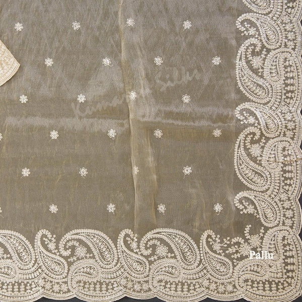 Organza Sandal Thread Embroidered Saree