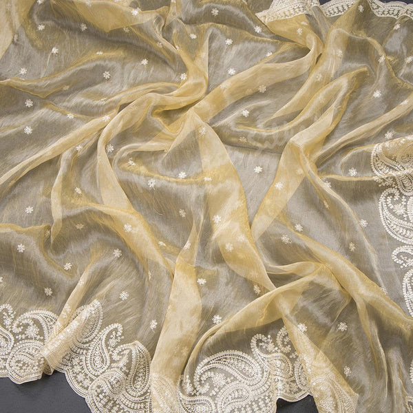 Organza Sandal Thread Embroidered Saree