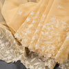 Organza Sandal Thread Embroidered Saree 02