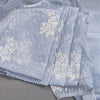 Organza Grey Thread Embroidered Saree 03