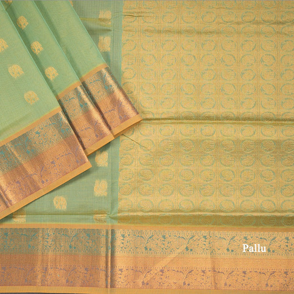 Venkatagiri Handloom Cotton Light Olive Green Saree Without Blouse 02