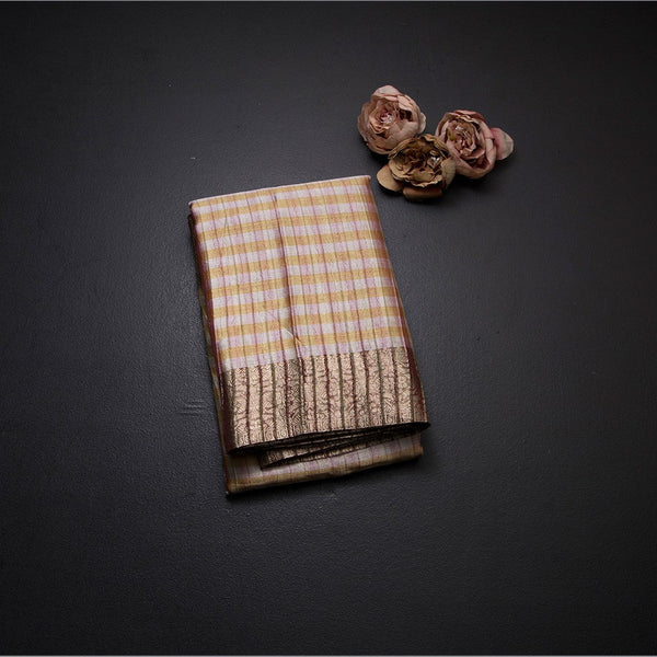 Tissue Multi Colour Checked Saree 02