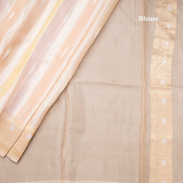 Tissue Banaras Multi Colour Zari Worked Saree 02