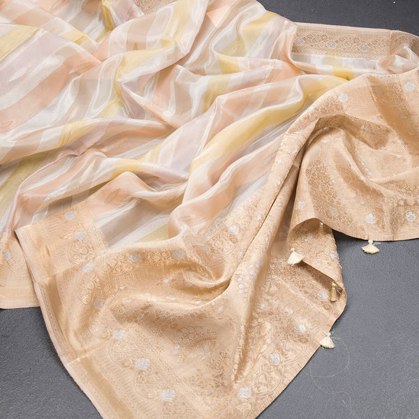 Tissue Banaras Multi Colour Zari Worked Saree 02