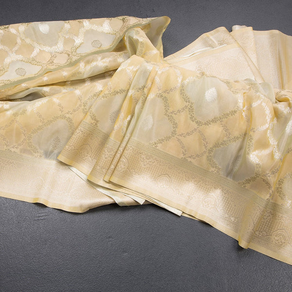 Organza Multi Colour Zari Worked Saree