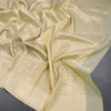Banaras Very Light Green Zari Worked Saree