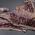 Raw Silk Plum Purple Kalamkari Printed Saree And Zari With Chamki Border