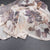 Raw Silk Cream Floral Printed Saree With Ribbon Border 04