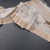 Raw Silk Cream Floral Printed Saree With Zari Border 03