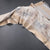 Raw Silk Cream Printed Saree With Zari Border 09