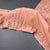 Raw Silk Light Orange Zari Stripes Saree And Thread Border
