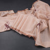 Raw Silk Light Peach Parrot Printed Saree And Ribbon Border