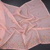 Kota Baby Pink Thread Work Saree