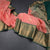 Art Silk Coral Pink Zari Worked Saree