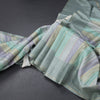 Raw Silk Multi Colour Stripes Saree 04