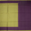 Raw Silk Light Green Zari Checked Saree