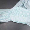 KSRTSR42272-Organza-Powder-Blue-Thread-Work-Saree-main
