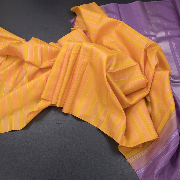 Multi Colour Borderless Soft Silk Saree With Stripes Design On The Body 02