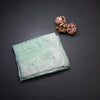 Pista Green Organza Thread Embroidered Saree