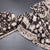 Kalamkari Cotton Black Printed Saree 03