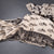 Kalamkari Cotton Cream Printed Saree 03