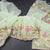 Organza Light Green Floral Thread Embroidered Saree