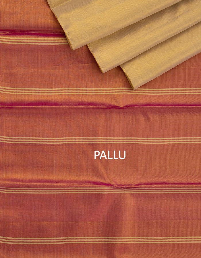 Cream Tissue Silk Saree With Contrast Pallu